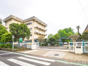 柏市立酒井根小学校　距離３５０ｍ／徒歩5分・約350m(2022年4月)