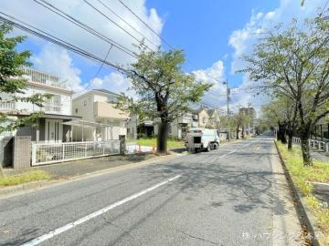 前面道路含む現地写真(2024年9月)