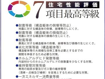 その他画像(2024年12月)